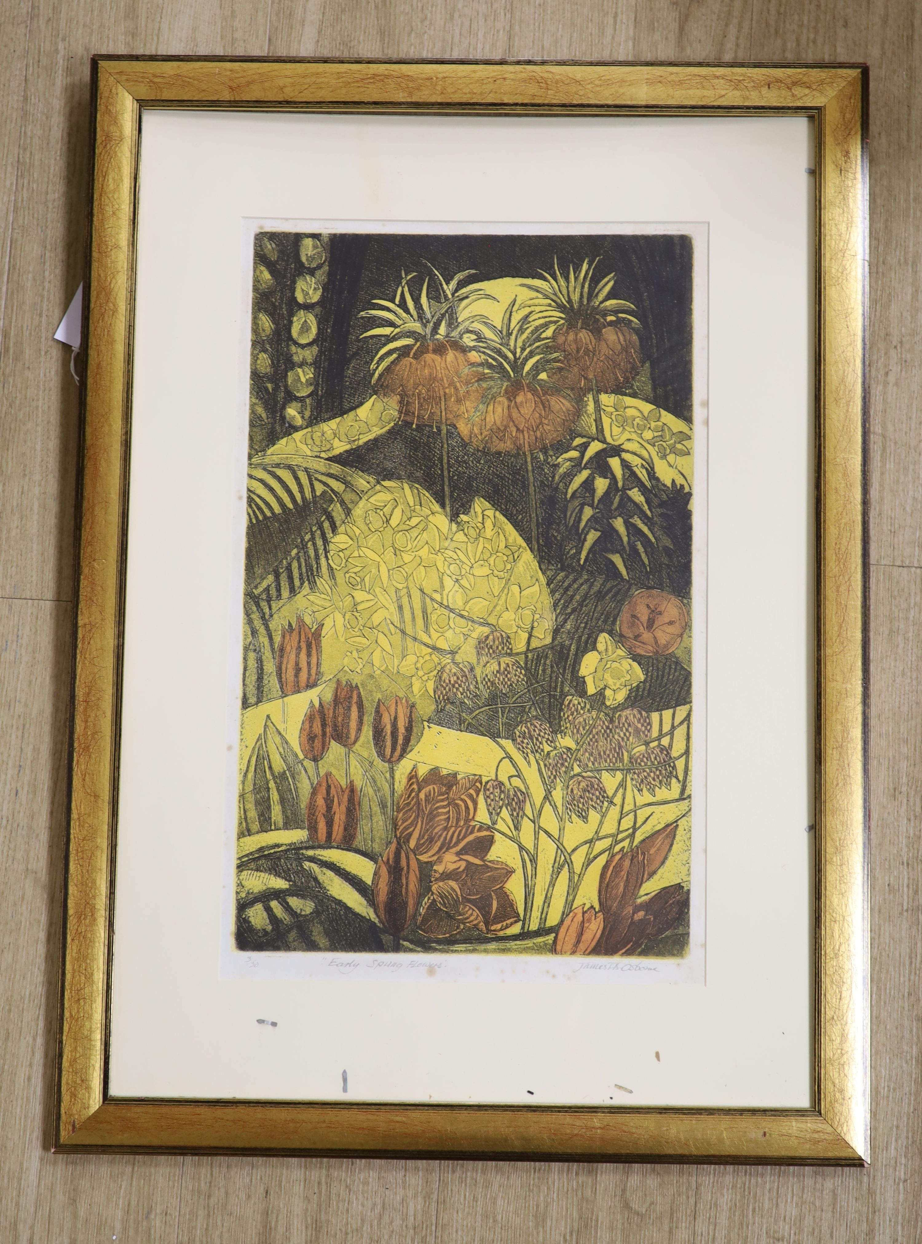 James T. Osborne, limited edition print, 'Early spring flowers', signed in pencil, 3/30, 52 x 32cm